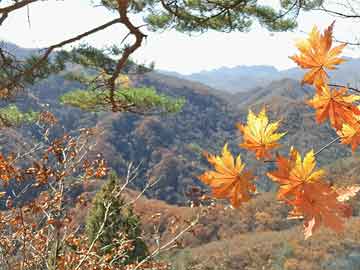 西北岁月